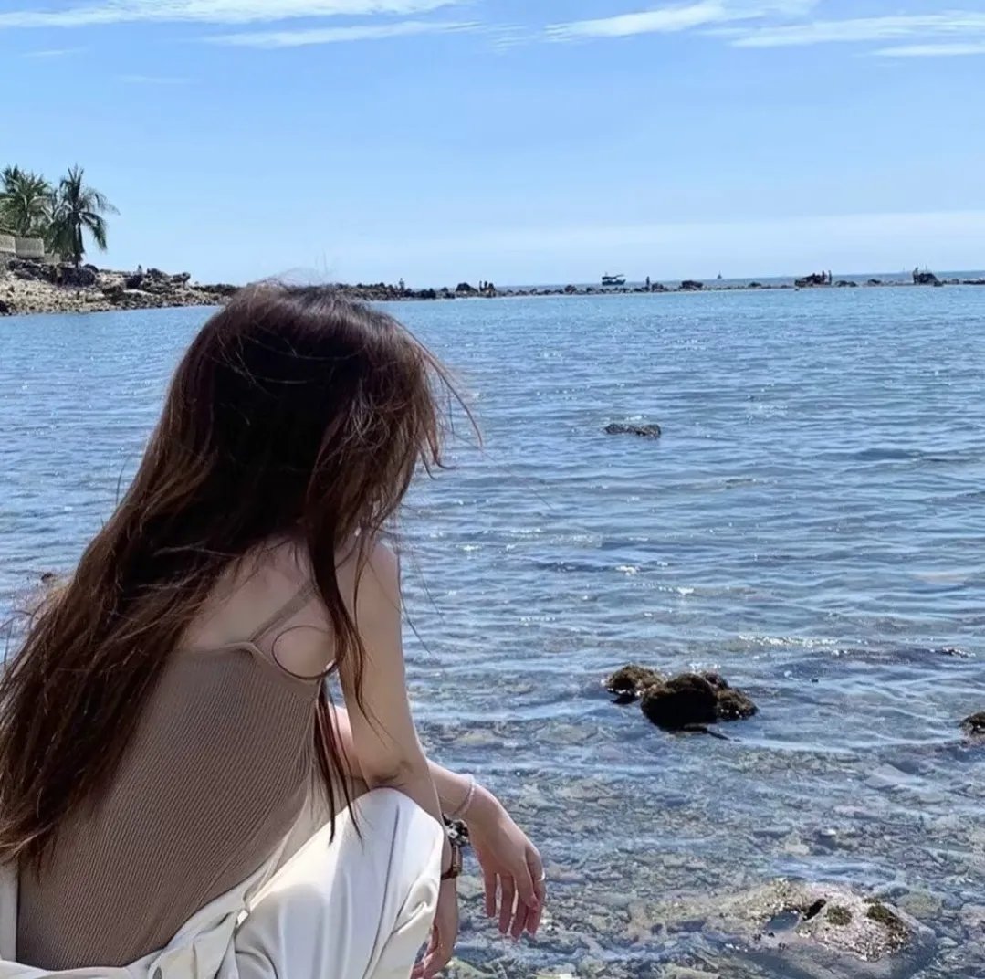 情来.算尽爱