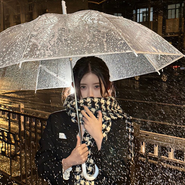 春闺风雨